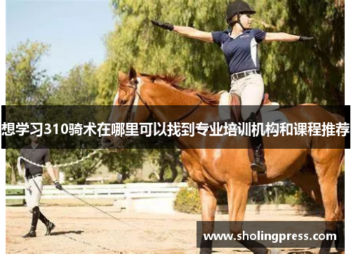 想学习310骑术在哪里可以找到专业培训机构和课程推荐